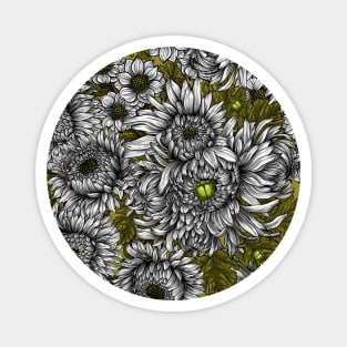 Chrysanthemum Magnet